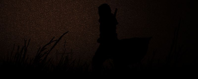 《刺客信条：影》相关游戏画面