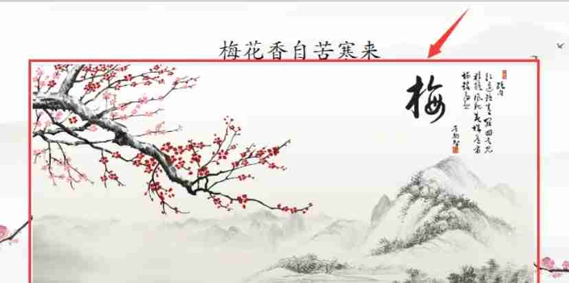 选中图片后出现可调整边框的示例图