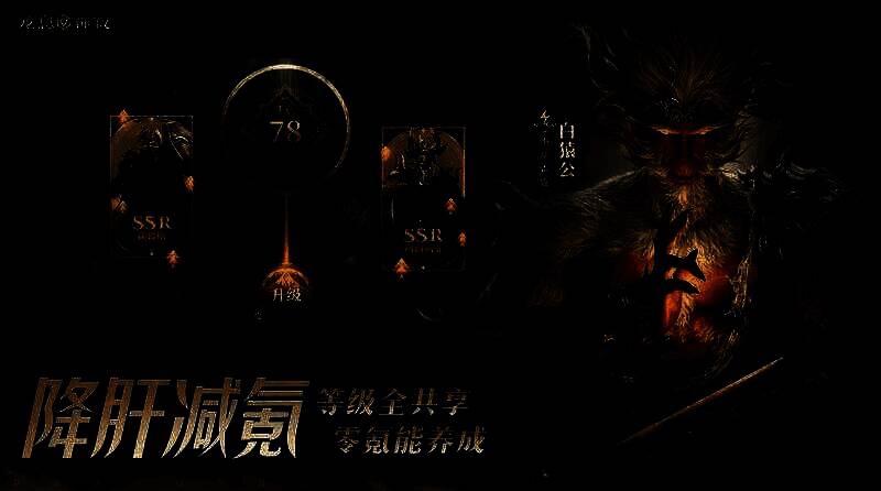 龙息神寂专属神器配图3