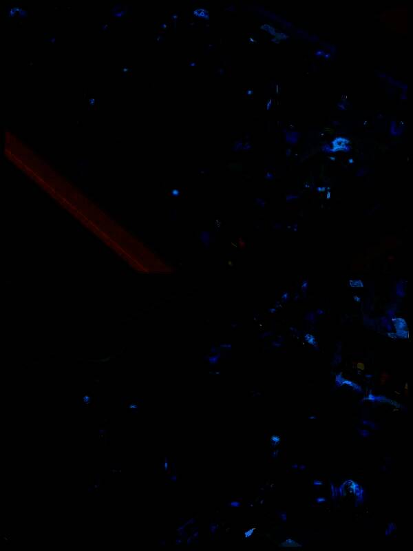 双点博物馆嘘嘘海湾布局相关图片4