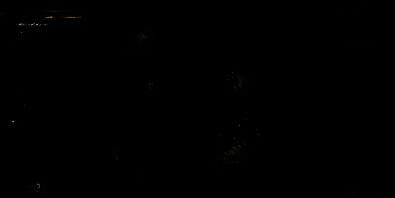 11区大树旁曼陀罗菇图片