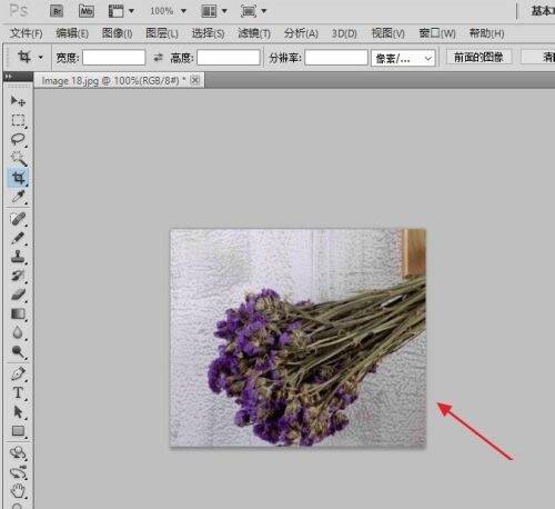 剪裁后的效果界面