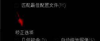 Photoshop软件中镜头校正选项界面