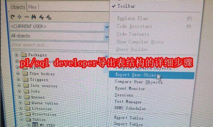 pl/sql developer 相关图片 1