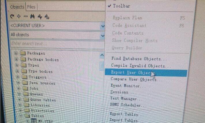 选择 Export User Objects 的界面图片
