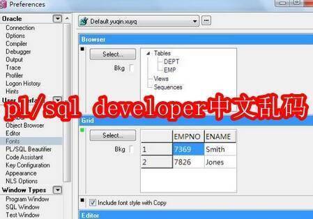 pl/sql developer相关配图1