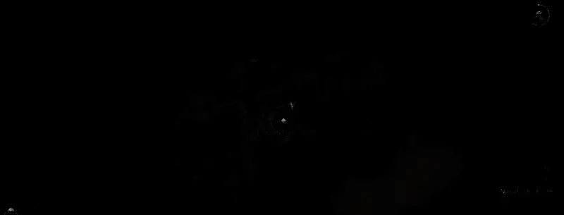 《刺客信条：影》传奇银狐刷新条件示意画面