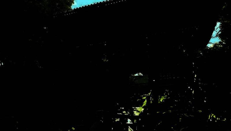 《刺客信条：影》游戏画面