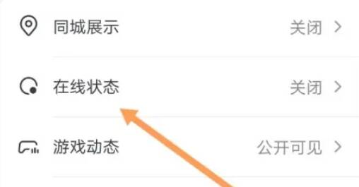 设置页面中的隐私设置选项