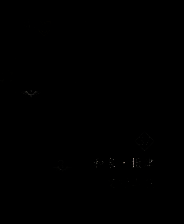 《刺客信条：影》游戏画面相关图片