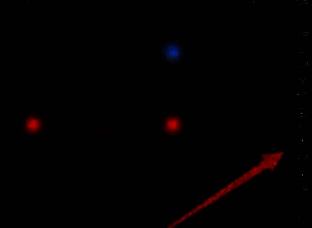 雷电模拟器安装游戏相关图片