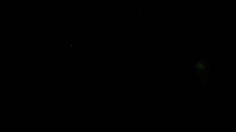 《克苏鲁：宇宙深渊》游戏画面5