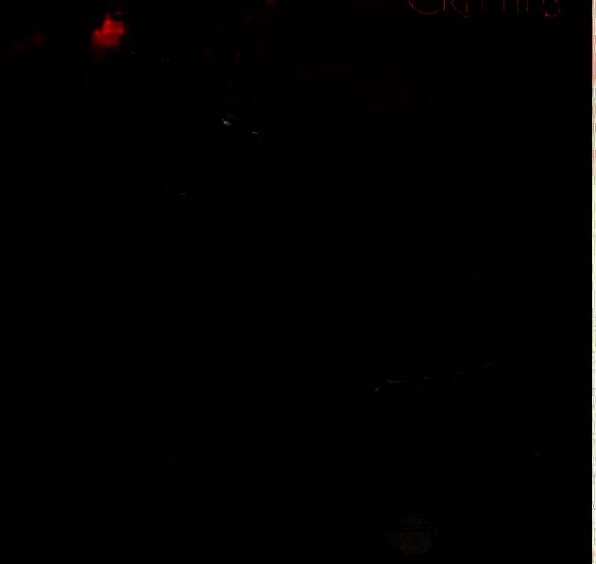 恶魔大君形象图片