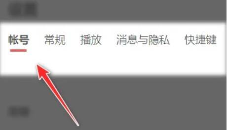 点击网易云音乐常规设置选项界面图