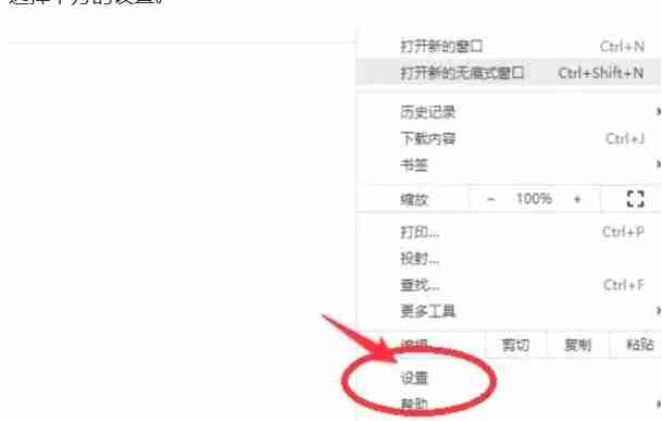 谷歌浏览器设置选项图片