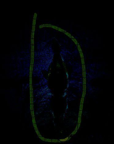 使用圆笔尖工具绘画效果图