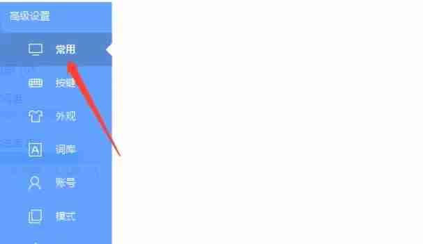 高级设置窗口中的常用选项卡