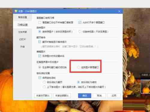 勾选返回图片管理器并点击确定界面