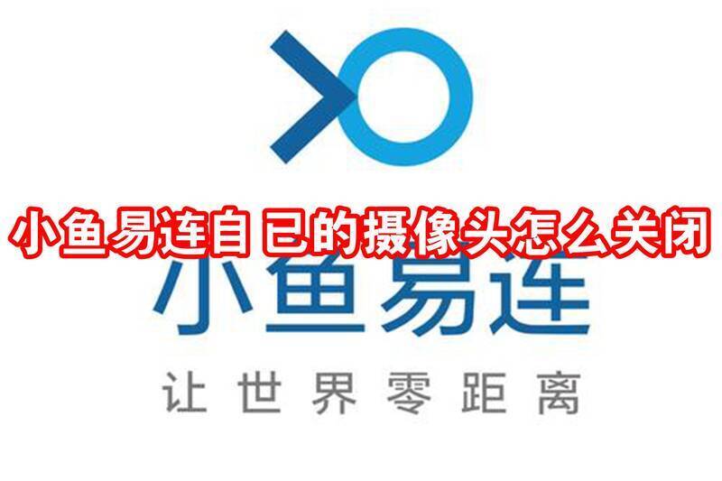 小鱼易连界面相关图片