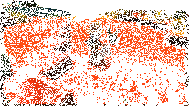 金垦小镇Dinkum钓鱼捉虫动画