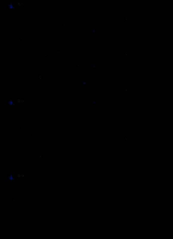 《双影奇境》玩家评价图片2