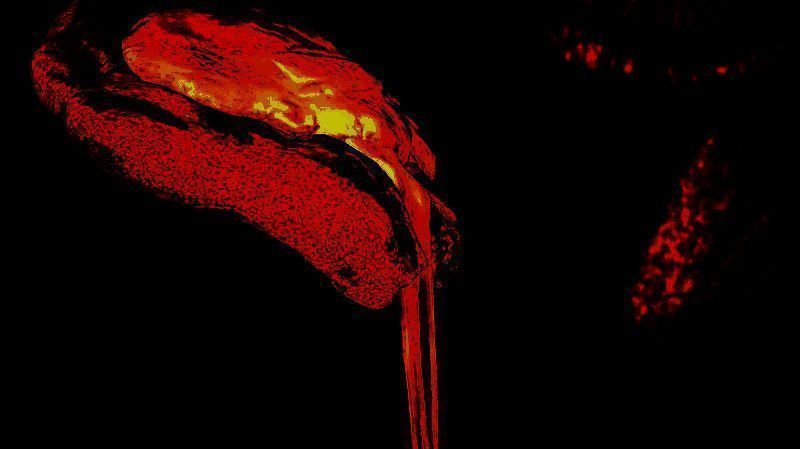 《怪物猎人：荒野》相关画面