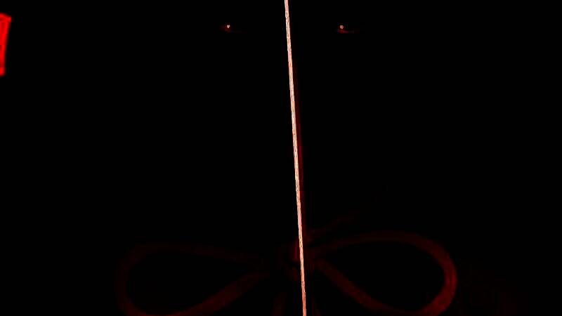 《刺客信条：影》视频截图6