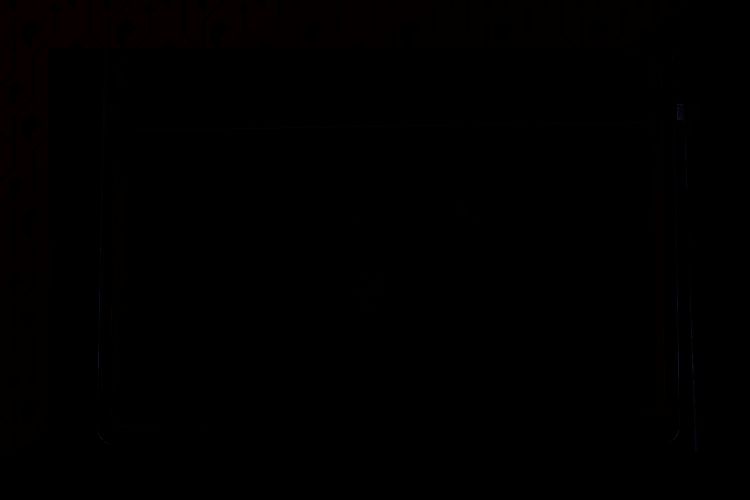 喷火龙形状的薯片