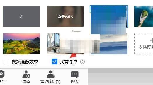 选择绿幕之后调节虚拟背景的界面