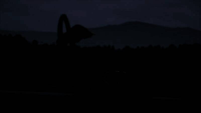 《MotoGP™25》游戏特点展示图片3