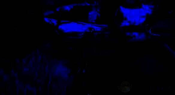 水域中的冰原嗥鸣