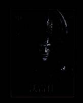 具备增益无效功能的辅助卡牌