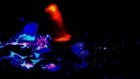 圣德芬相关图片4