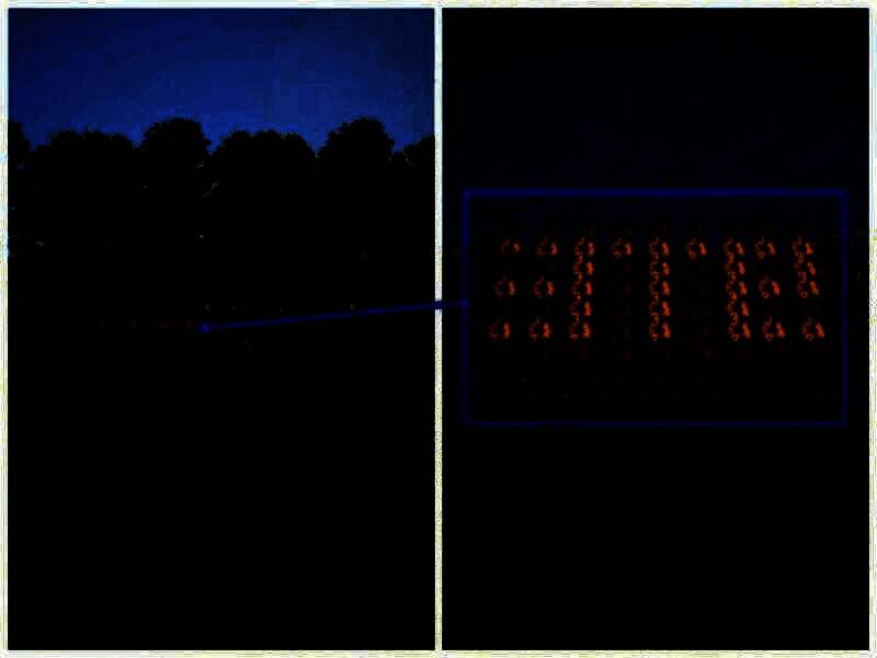 河边花的线索图