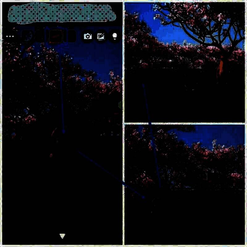 给狗窝狗狗飞盘图