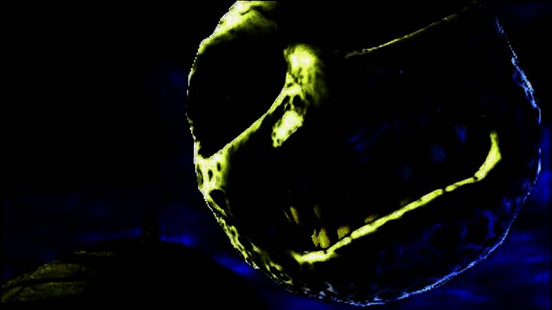 今村孝矢相关图片1