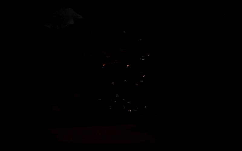 《怪物猎人：荒野》四叶蜉蝣相关图片2