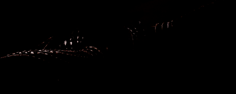 《怪物猎人：荒野》长枪中段突刺示意图