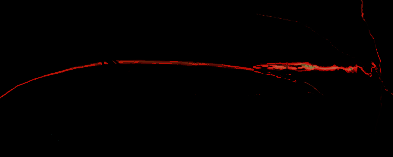 《怪物猎人：荒野》相关画面