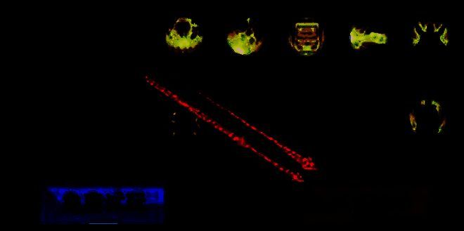 点击获取方式界面图