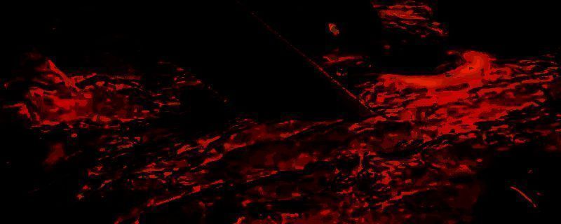 怪物猎人荒野游戏相关图片