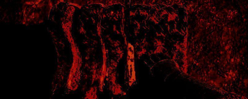 《怪物猎人：荒野》烤肉场景