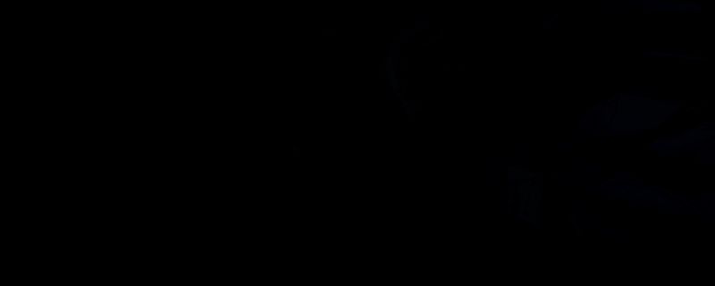 《怪物猎人：荒野》游戏场景图