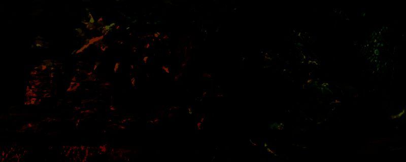 怪物猎人荒野游戏画面