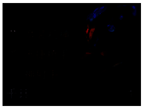 千珏弈子形象图片