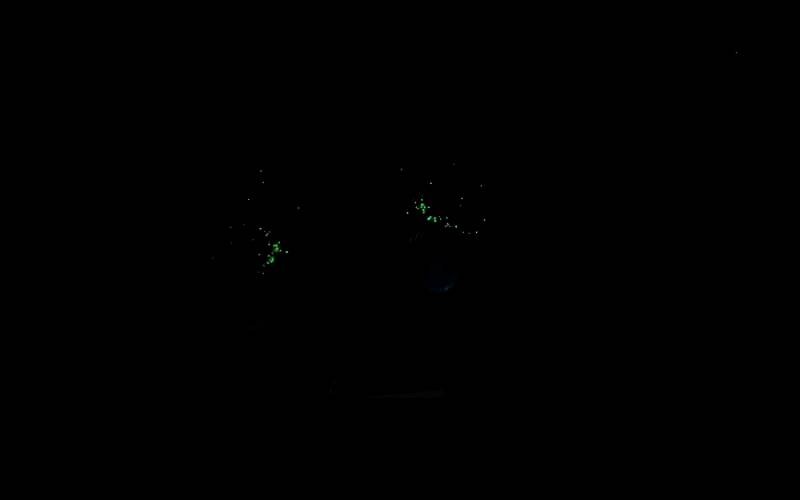 涌油谷8区中层北部帐篷旁图片