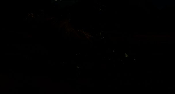 怪物猎人荒野大锤回旋攻击相关画面2