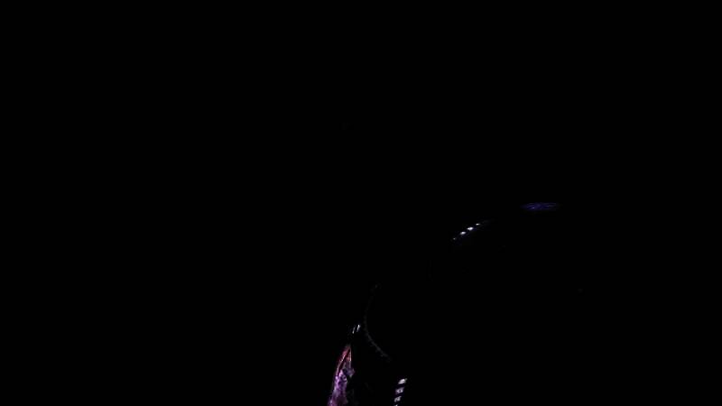 相关视频画面或Mark Darrah相关图片