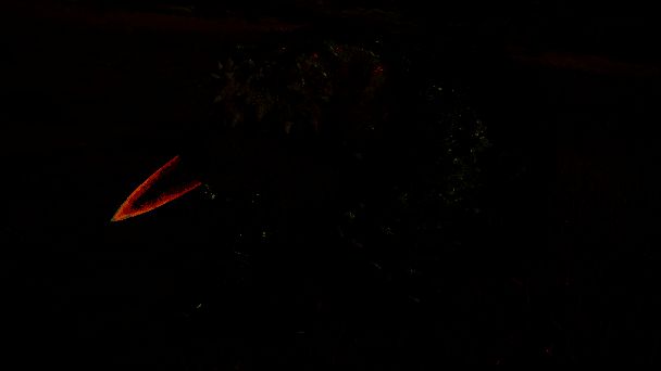 《怪物猎人：荒野》单手剑普通攻击示意图