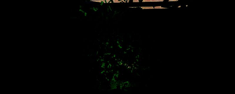 《钞票清理工模拟器》相关图片1